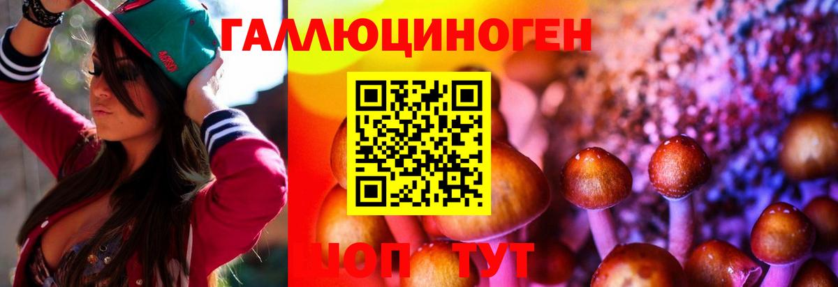 Псилоцибиновые грибы GOLDEN TEACHER  Вход с VPN  Павловский Посад  Псилоцибиновые грибы Psilocybe 